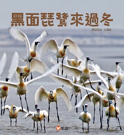 39_Black-faced Spoonbill's Winter Visit