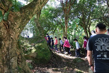 學生魚貫地走往校舍後方，準備在樟樹 前進行活動